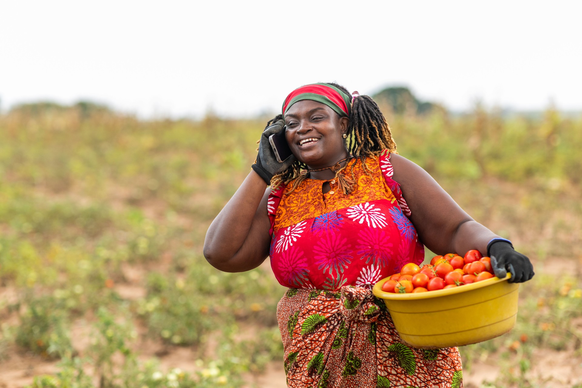 African Agriculture Entrepreneur, Cheerful woman farmer with freshly harvested tomatoes, talking on phone with customers in her field.